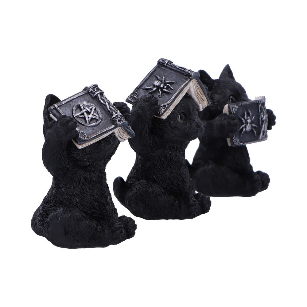 Three Wise Spell Cats 8.5cm