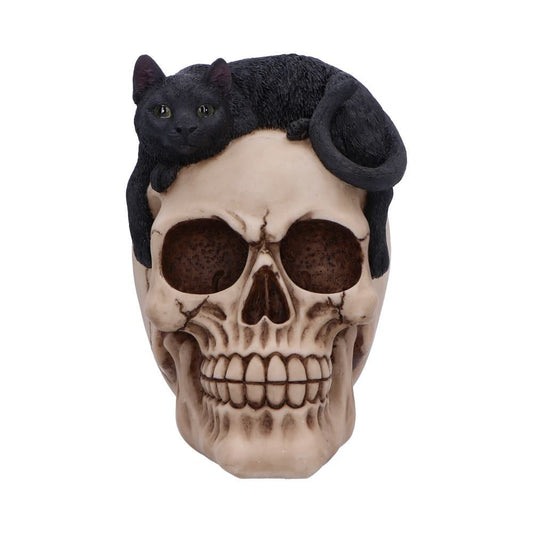 Forever Friend Black Cat Skull Head 14.5cm