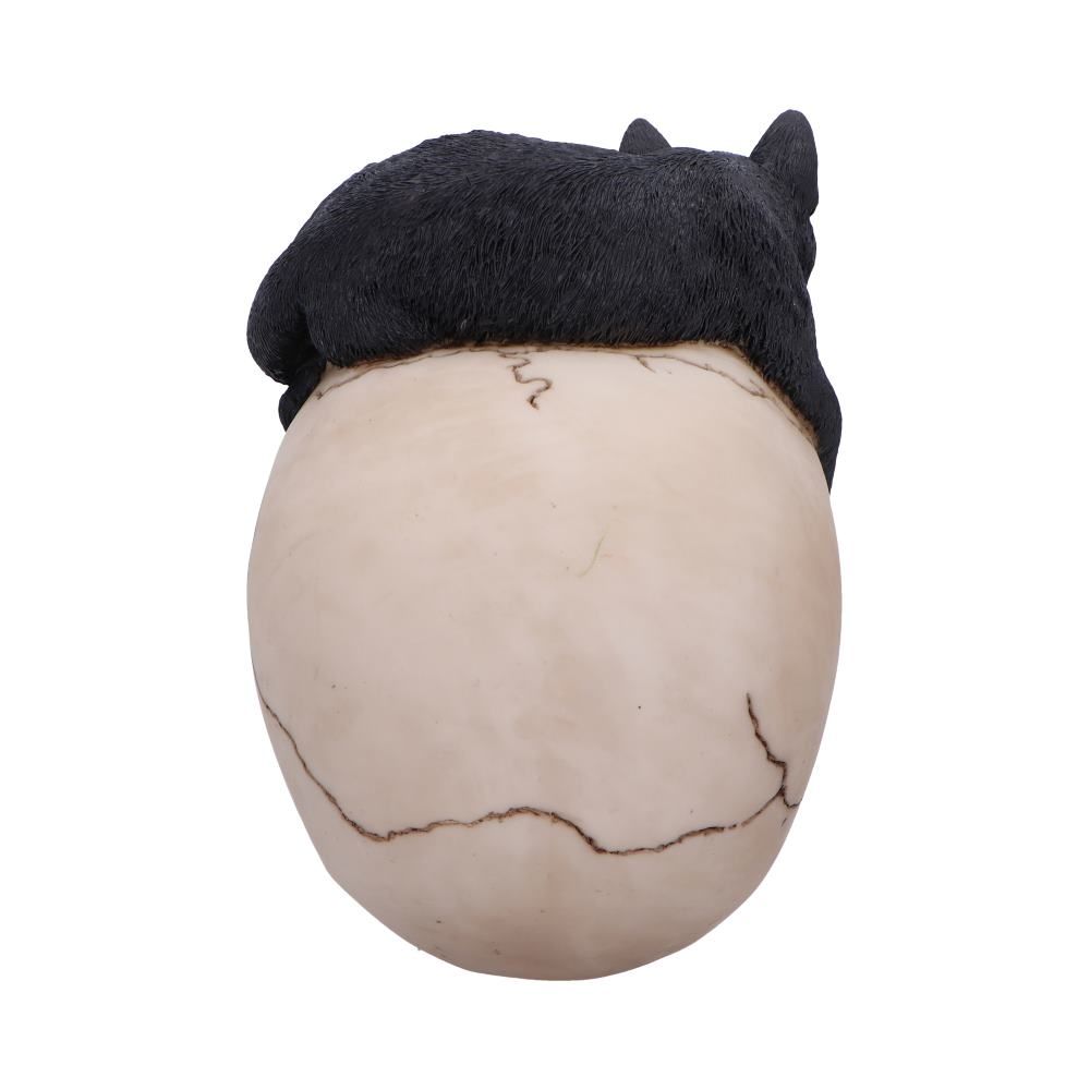 Forever Friend Black Cat Skull Head 14.5cm