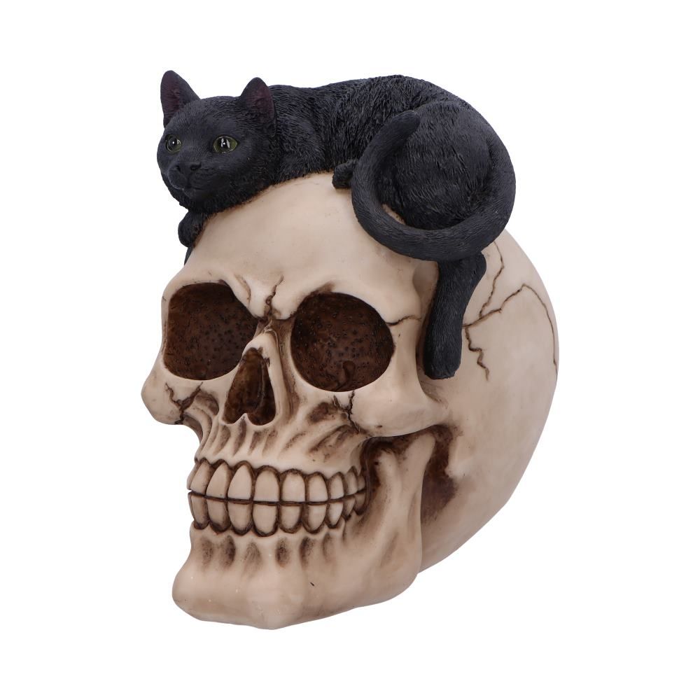 Forever Friend Black Cat Skull Head 14.5cm