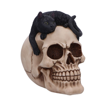 Forever Friend Black Cat Skull Head 14.5cm