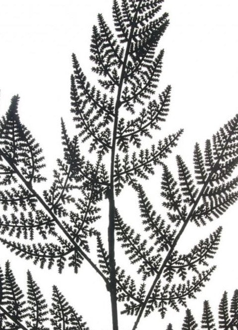 Velvet Woodland Fern Spray H90 cm