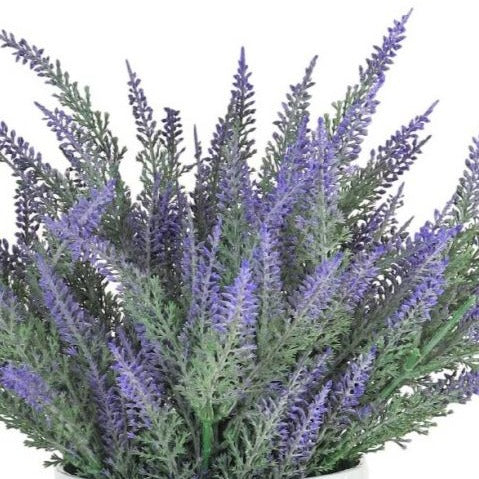 Potted Purple Heather Bunch