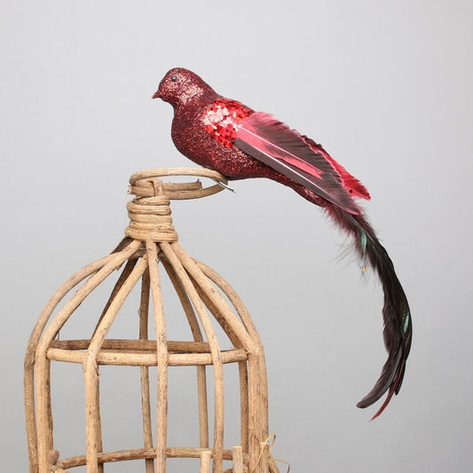 Red Paradise Bird with Clip