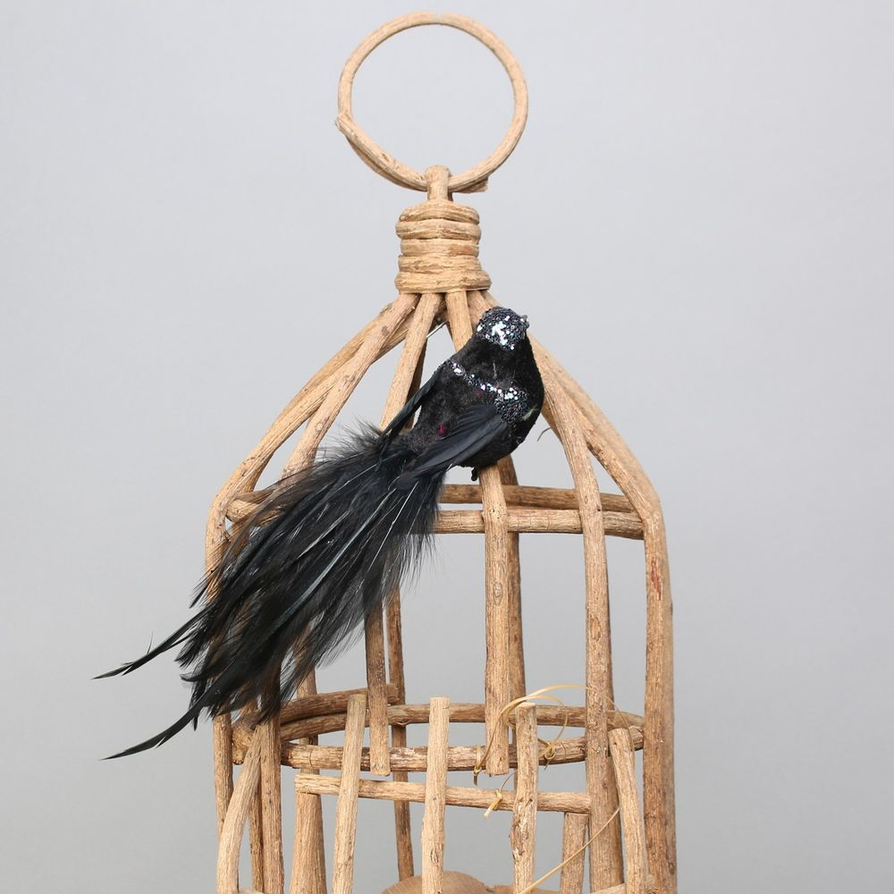 Decorative Black Princess Bird with clip