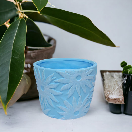 Sunshine Ceramic Indoor Plant Pot - Blue