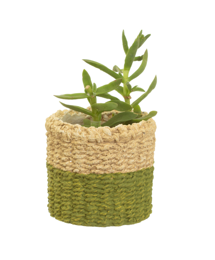 Mini Green Dip Cement Basket Planter