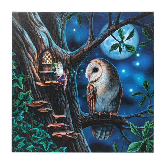 Fairy Tales Light Up Canvas