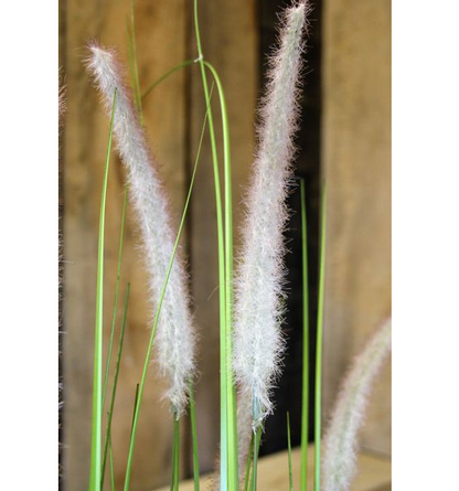 Artificial PVC Grass Plant With Cat Tails