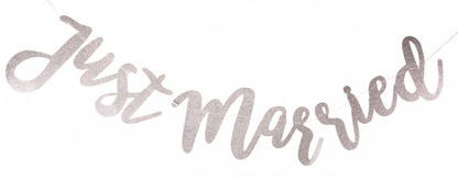 Silver Just Married Banner