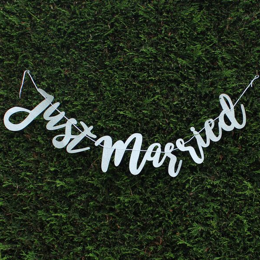 Silver Just Married Banner