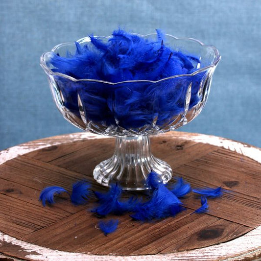 Royal Blue Feathers (5g Bag)