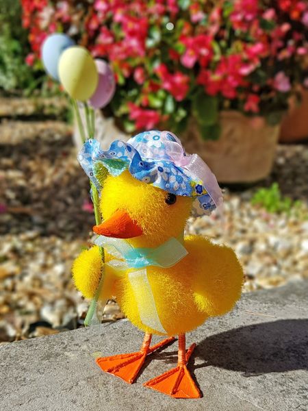 Easter Duckling With Balloons