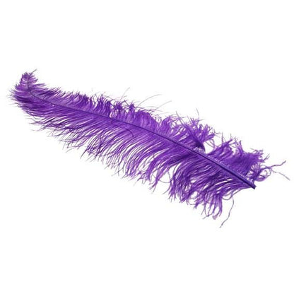 Purple Ostrich Feathers x 5