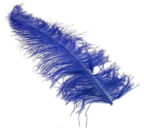 Royal Blue Ostrich Feathers x 5